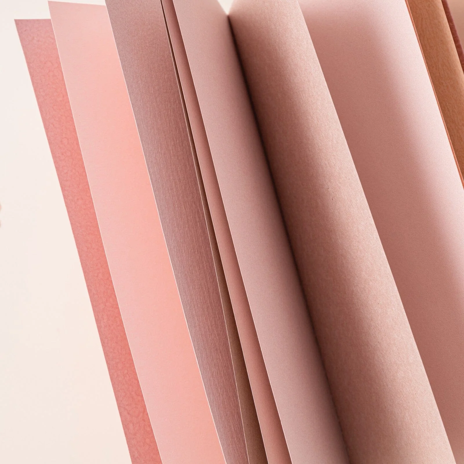 Hinoki - ‘Into the Blossom’ Mixed Insert + Sticker Set - Image 7