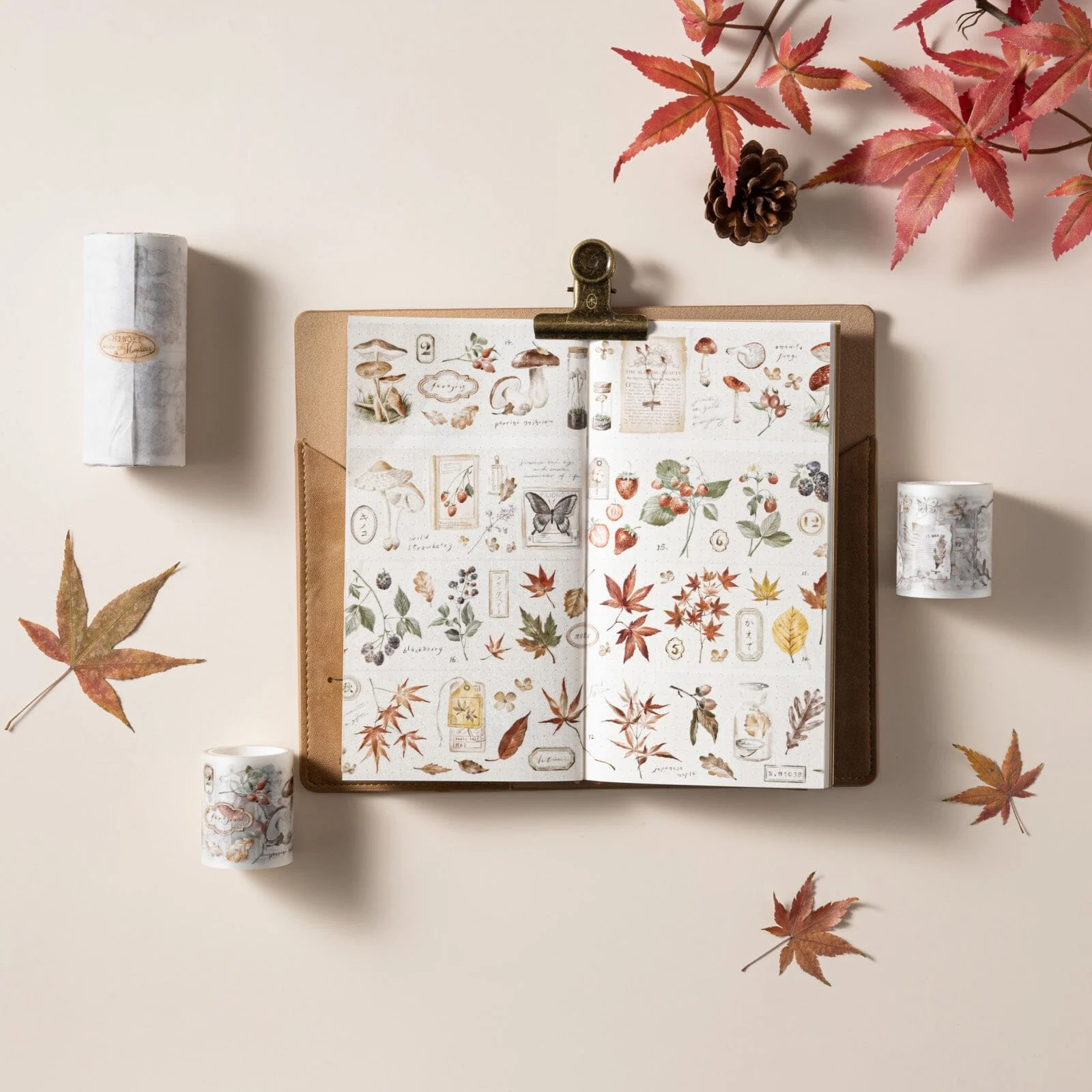 Hinoki - ‘Into the Fall’ Bundle #1 (exclusive) - Image 3