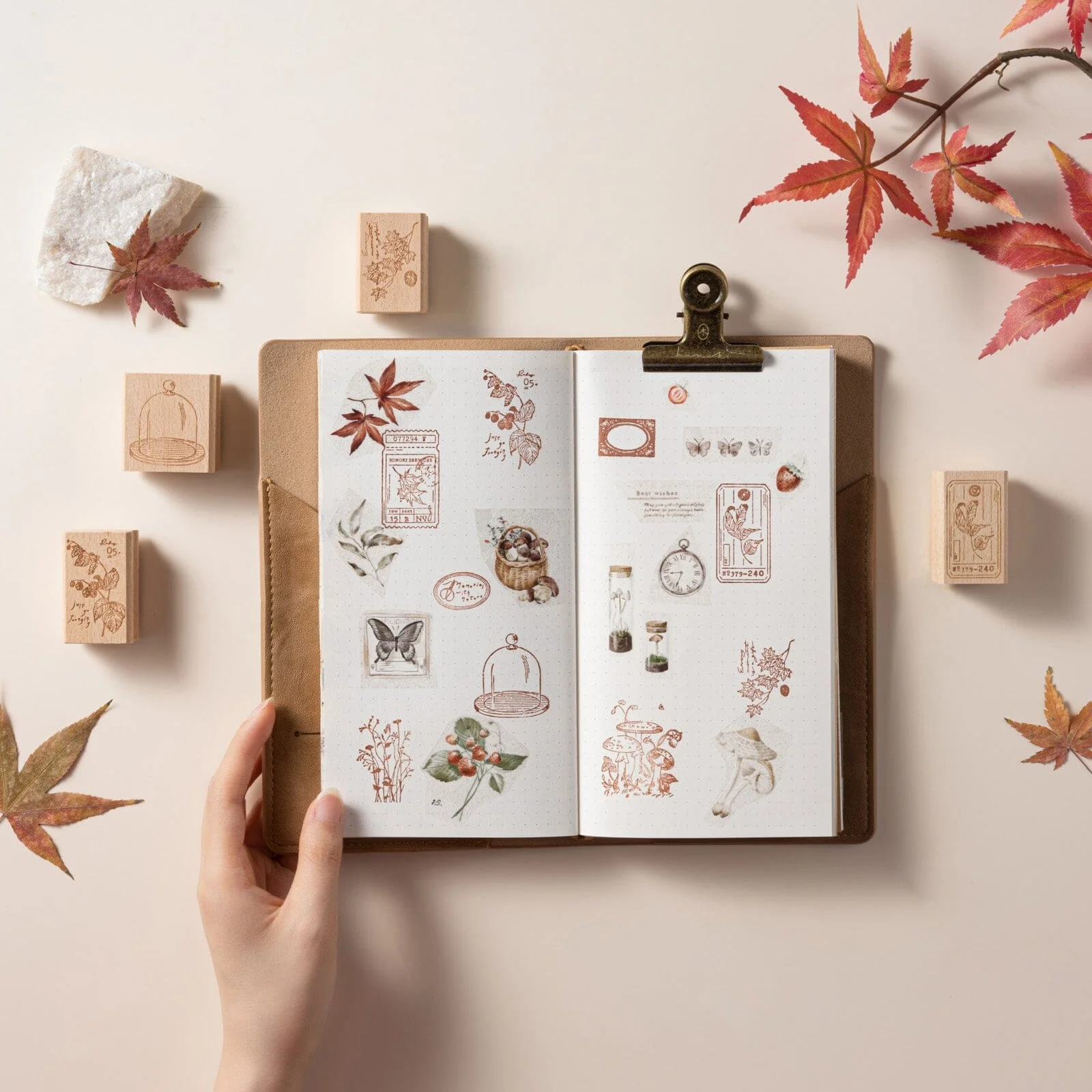 Hinoki - ‘Into the Fall’ Bundle #1 (exclusive) - Image 7