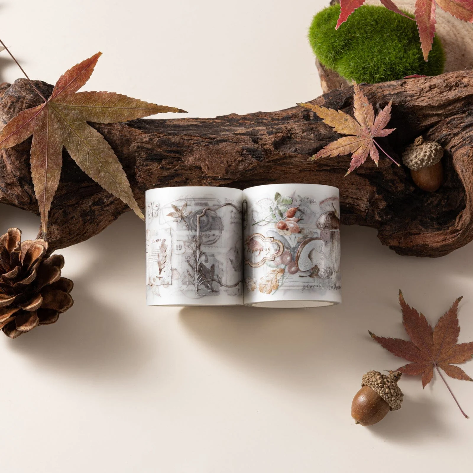 Hinoki - ‘Into the Fall’ Decorative PET Tape Set - Image 13