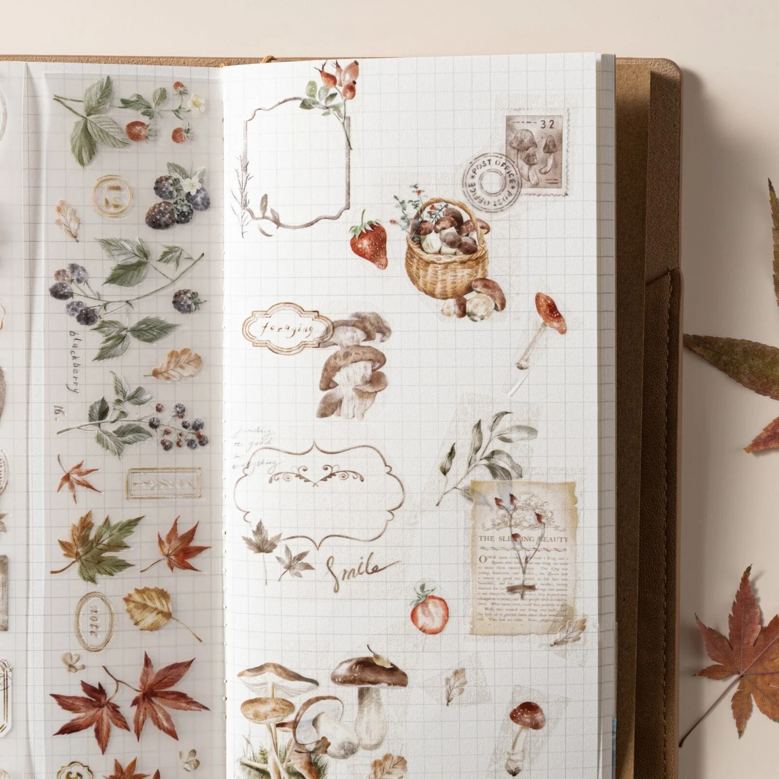 Hinoki - ‘Into the Fall’ Decorative PET Tape Set - Image 3