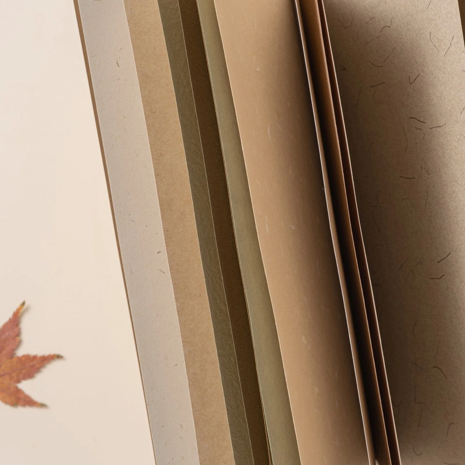 Hinoki - ‘Into the Fall’ Mixed Insert + Sticker Set - Image 10