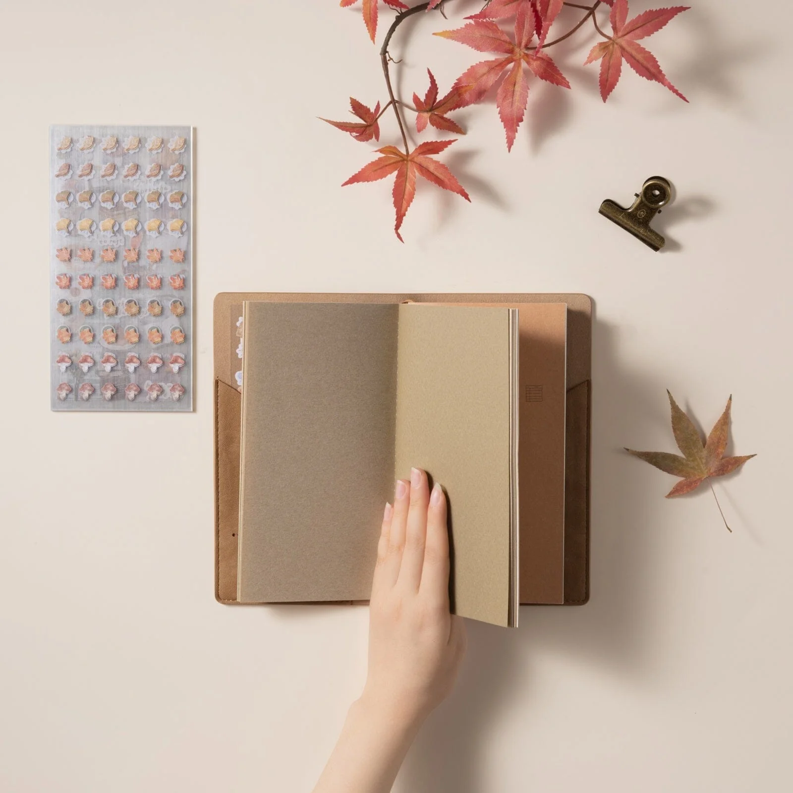 Hinoki - ‘Into the Fall’ Mixed Insert + Sticker Set - Image 8