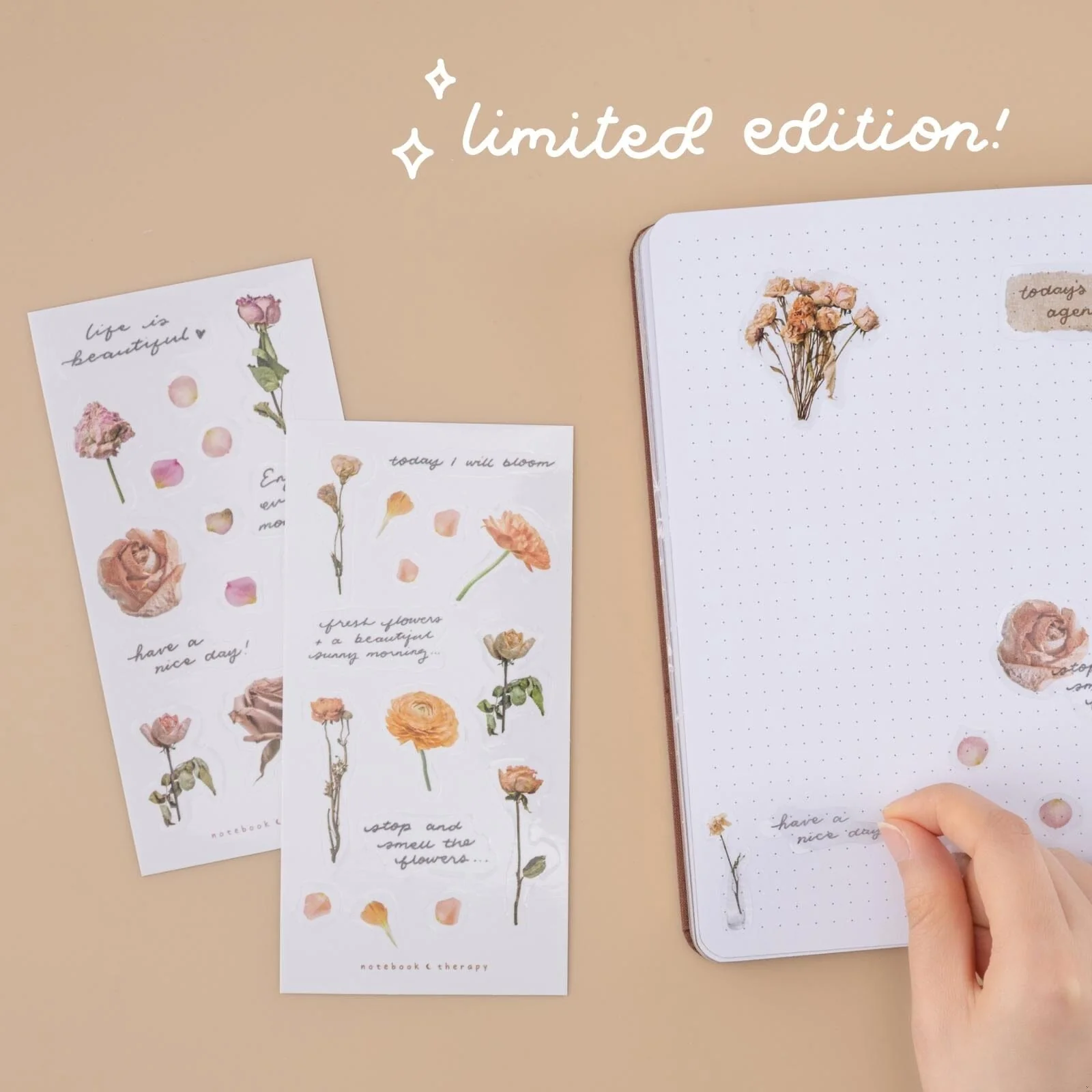 Tsuki ‘Dried Flowers’ Transparent Sticker Set ☾ - Image 3