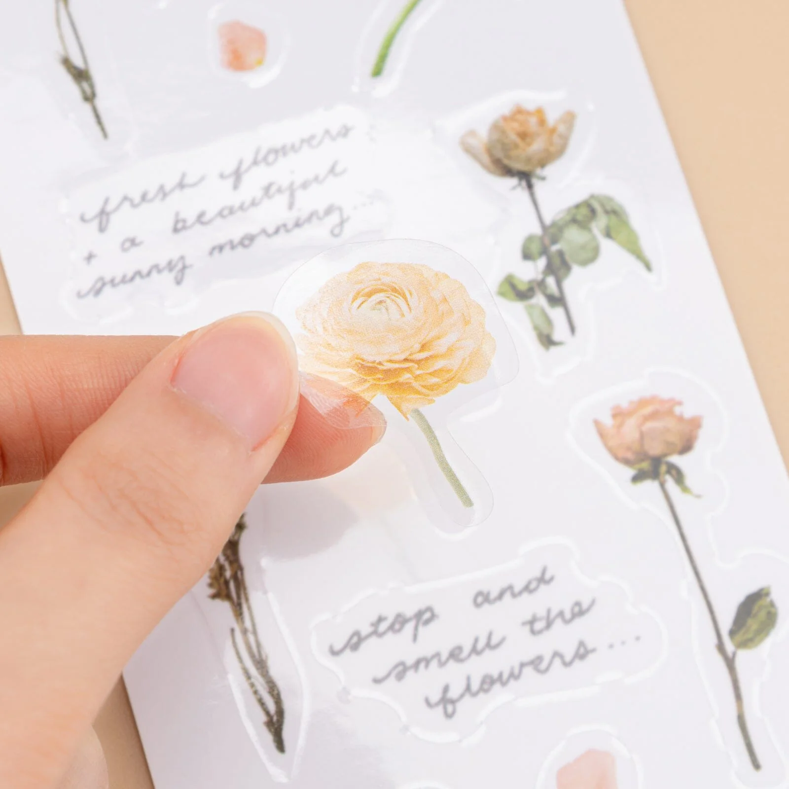 Tsuki ‘Dried Flowers’ Transparent Sticker Set ☾ - Image 5