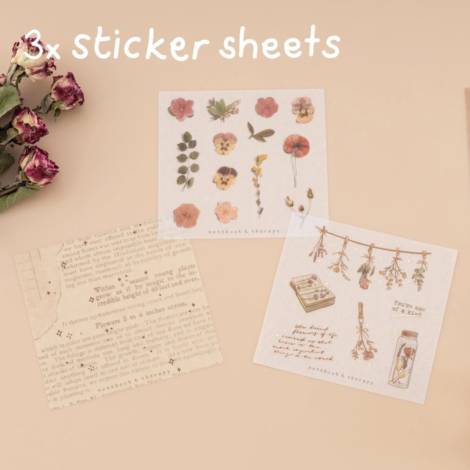 Tsuki ‘Dried Flowers’ Washi Tape Set ☾ - Image 6