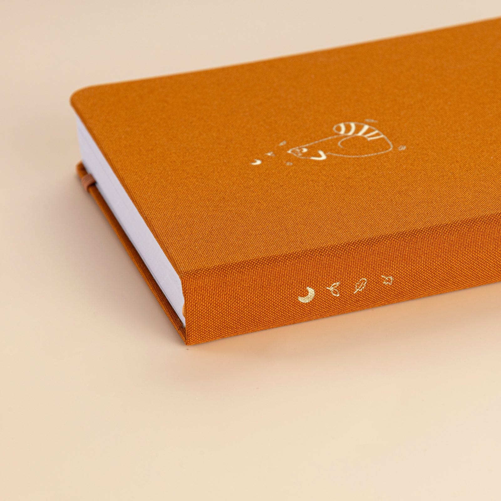 Tsuki ‘Red Panda’ Limited Edition A5 Bullet Journal ☾ - Image 9